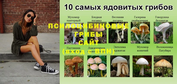 дмт Богородицк