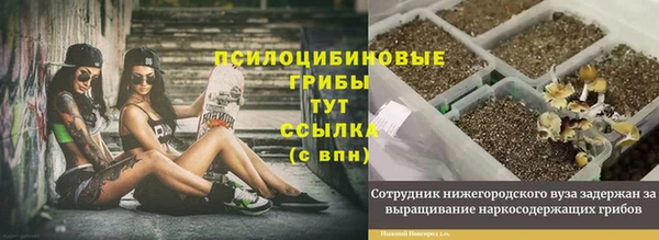 мдма Нефтекумск