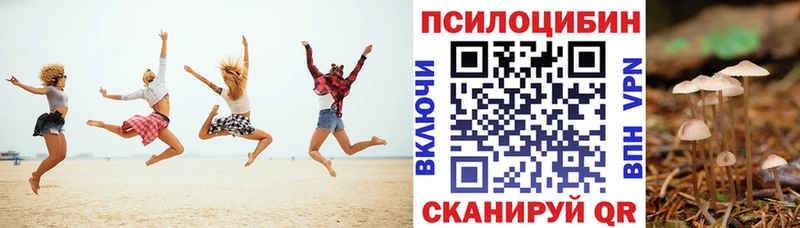 Галлюциногенные грибы Cubensis  Нестеров 